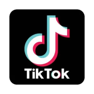 TikTok Video Downloader for Free 2024