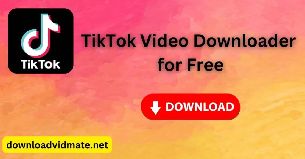TikTok Video Downloader for Free